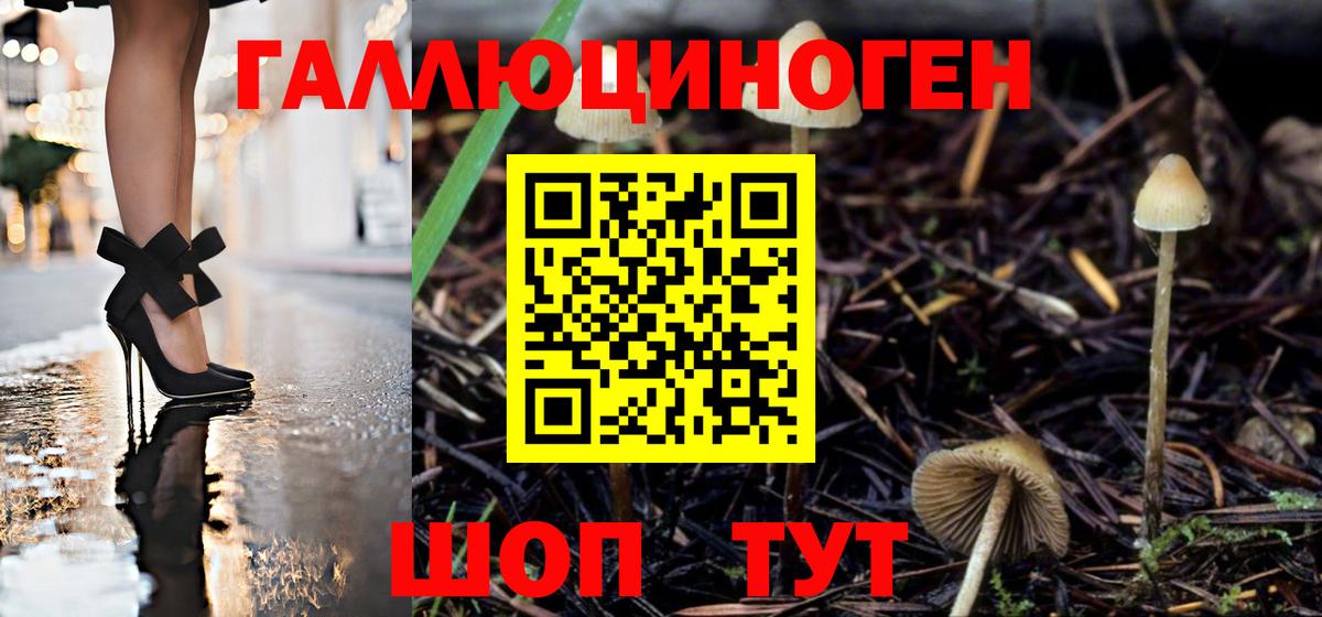 Галлюциногенные грибы Psilocybe  Вход с VPN  продажа наркотиков  Ишимбай 